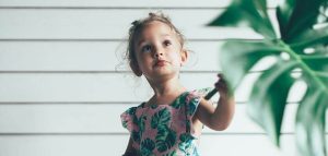 Blog Img 4 300x143